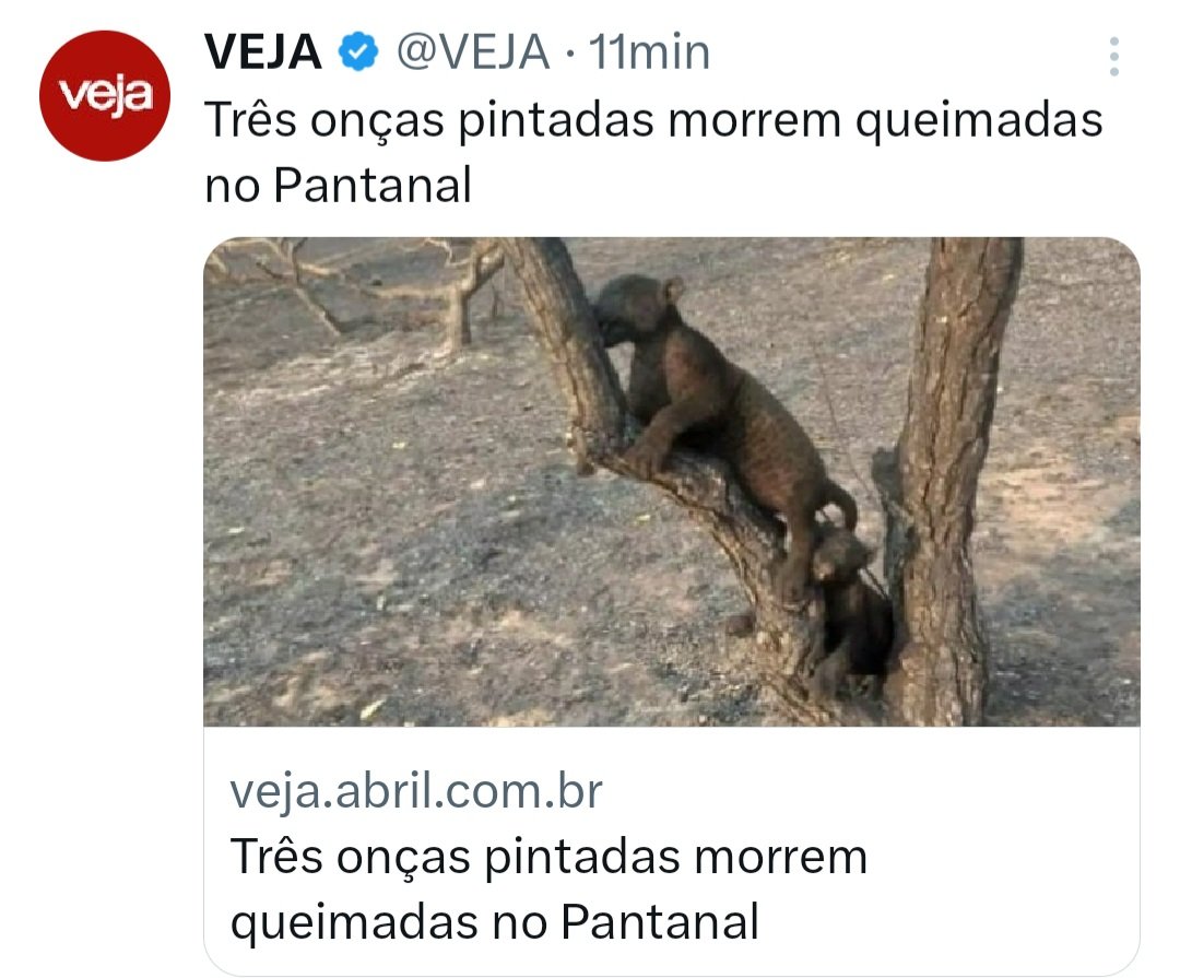 joao_merisio's tweet photo. Faz o L
Fizeram o L
Mais de um ano queimando
Nada de artistas cantarem músicas, nada da globo falar
#LuladraoDesgracaEDestruicao
#foralula
#LulaMonstro https://t.co/PBg41MEo6K