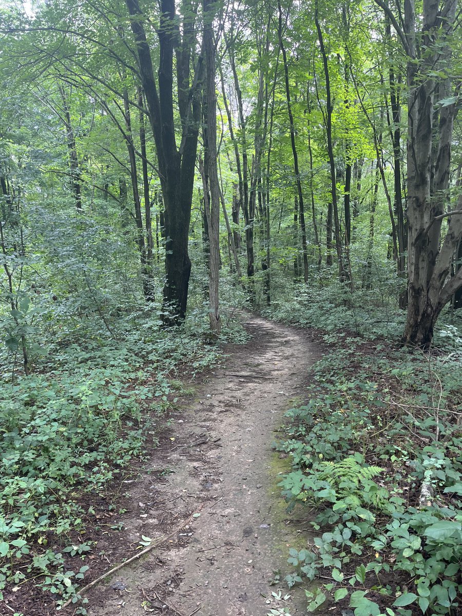 run_carol_run's tweet photo. Spending time in nature is good for the soul. https://t.co/p5Ji6k95Xa