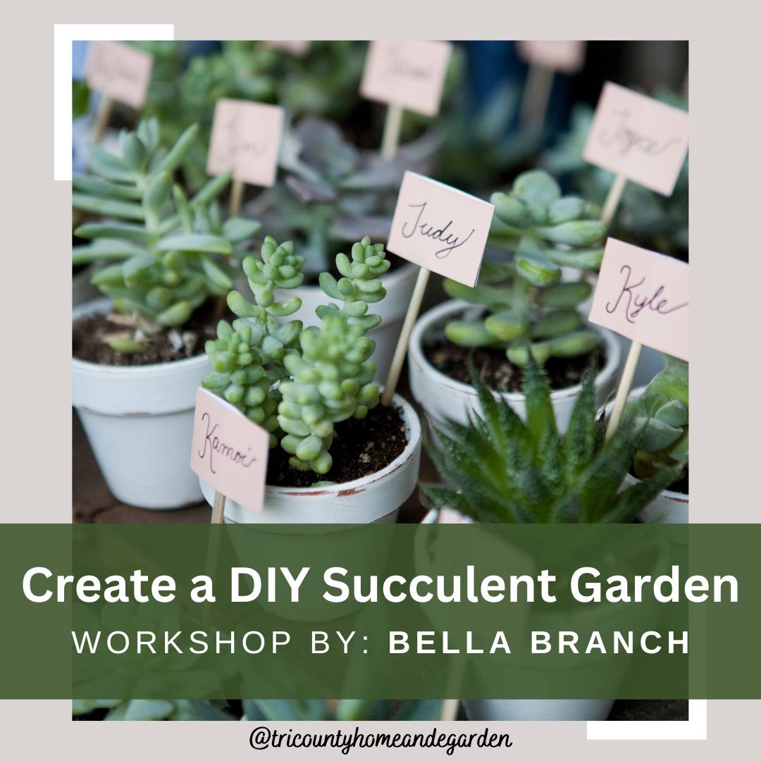 At The Grounds tweet media