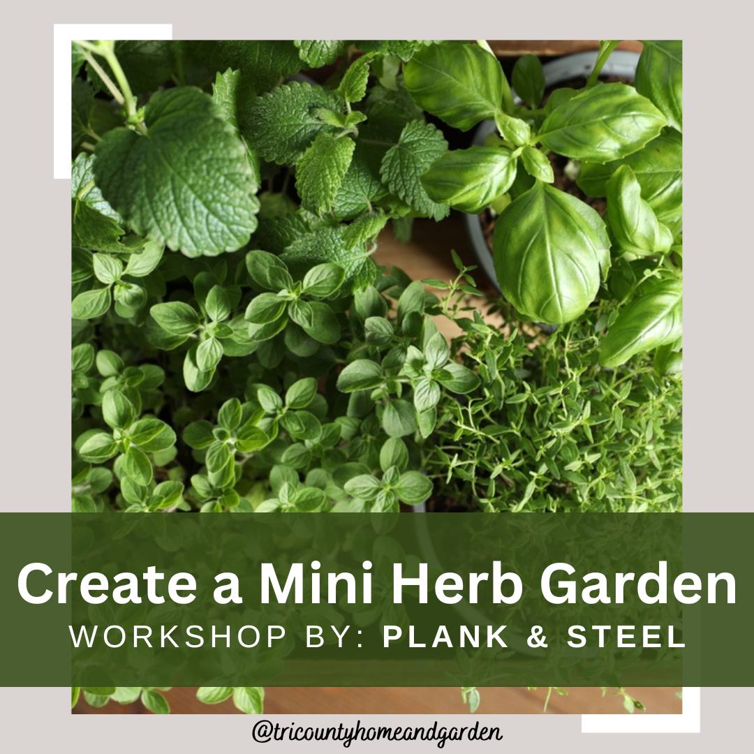 At The Grounds tweet media