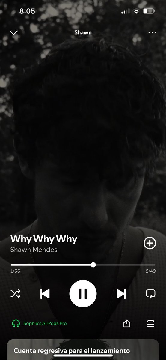 sophparticular's tweet photo. 15 year old me is so happy rn #Shawn #WhyWhyWhy https://t.co/Gco90a16HR
