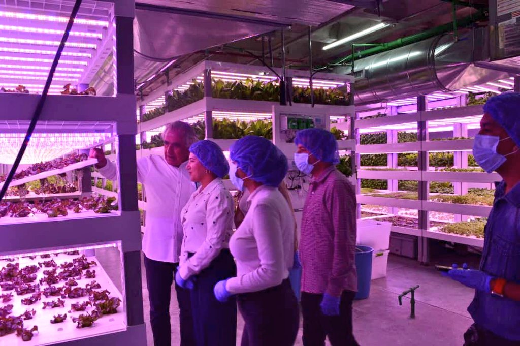 🌱 Ministra <a href="/jhoagaby/">Jhoanna G Carrillo M</a>, visitó las instalaciones de Biofarm Agricultura Urbana, una compañía pionera en la producción de vegetales verdes en ambientes cerrados controlados, ubicado en Lomas de Manzanares.

<a href="/NicolasMaduro/">Nicolás Maduro</a>

#PuebloSonrienteYEnPaz