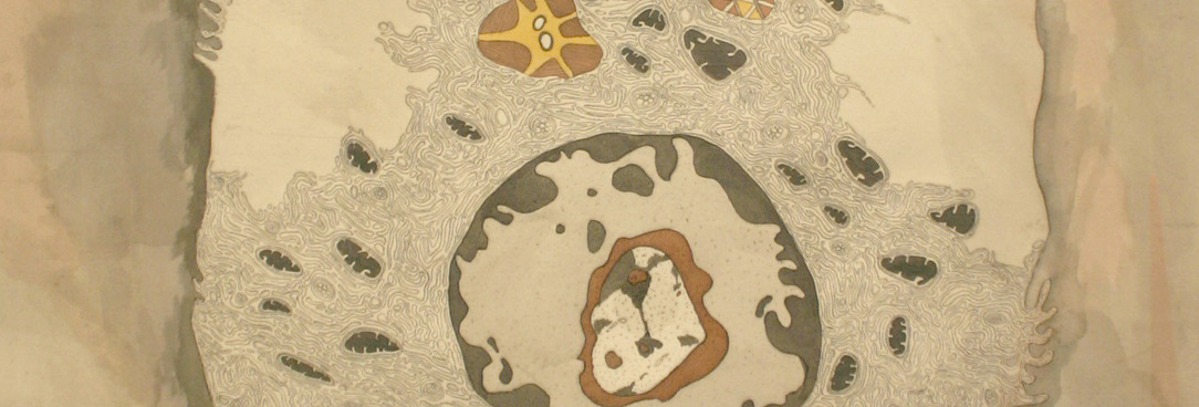 PRO Victoria (@pro_vic) on Twitter photo Today is International Day of the World’s Indigenous Peoples. To acknowledge this day, we share walata tyamateetj covering records held at PROV & <a href="/naagovau/">National Archives of Australia</a>, particularly records of agencies overseeing administration of Aboriginal affairs in VIC since 1838 prov.vic.gov.au/walata-tyamate… Today is International Day of the World’s Indigenous Peoples. To acknowledge this day, we share walata tyamateetj covering records held at PROV & <a href="/naagovau/">National Archives of Australia</a>, particularly records of agencies overseeing administration of Aboriginal affairs in VIC since 1838 prov.vic.gov.au/walata-tyamate…