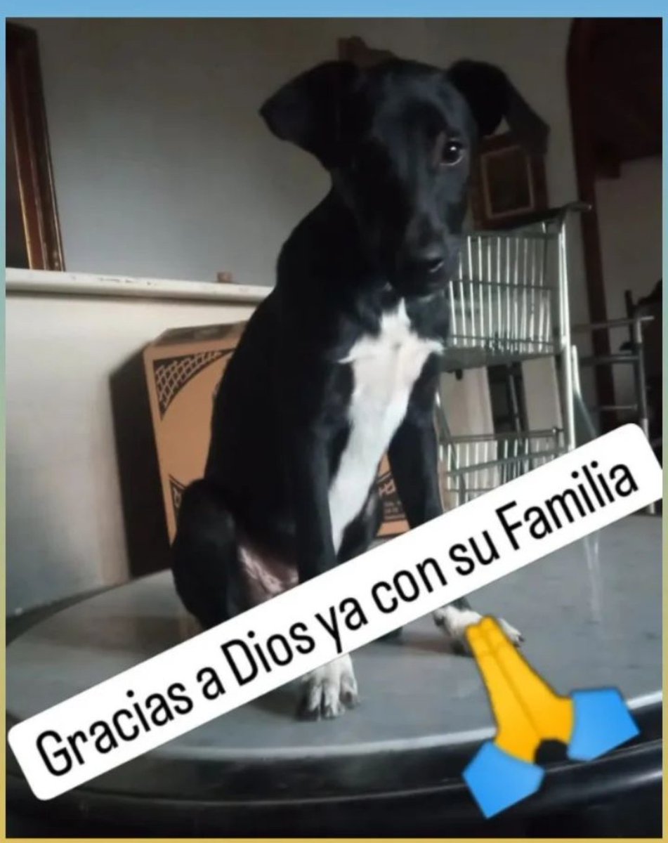 Compartimos una bonita noticia de reencuentro 🙏