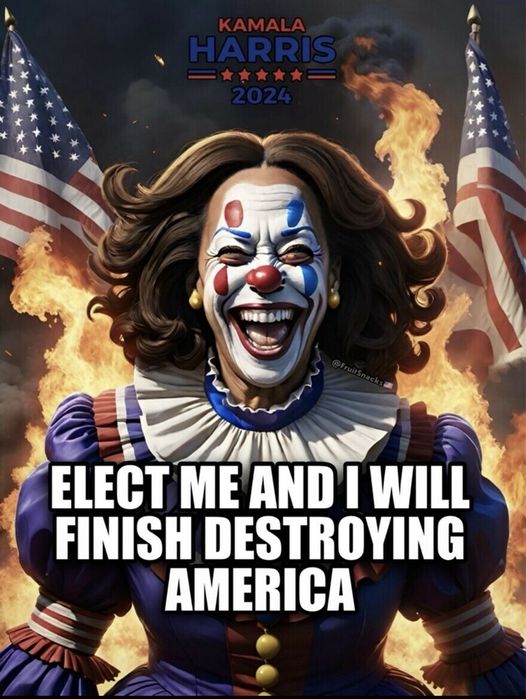 Ikennect's tweet image. I think this is the truth. Elect her and she WILL finish destroying America. Is there any doubt in your mind?