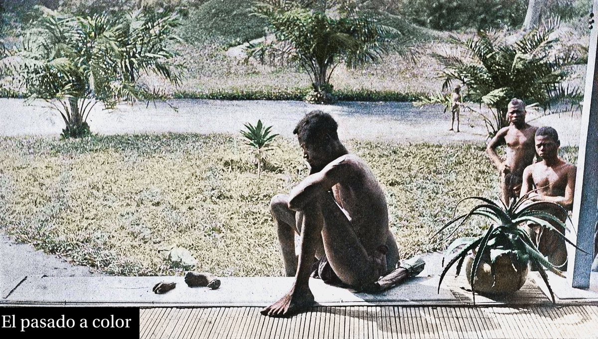 Historiador dibujante tweet media