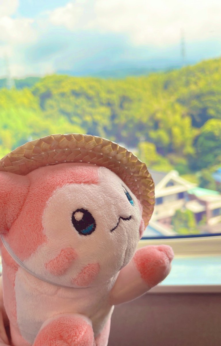 はる🍀 tweet media