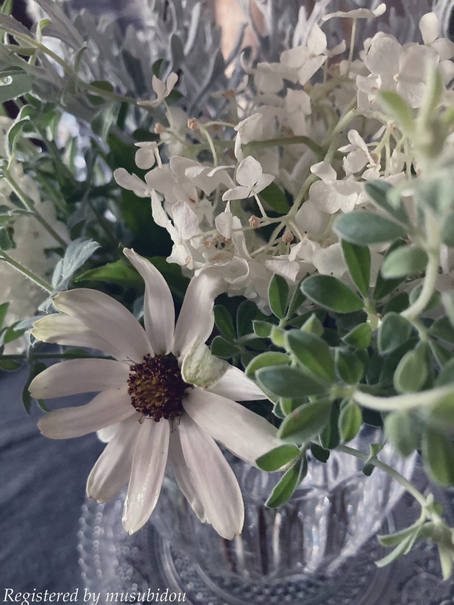 I hope you have a nice day.