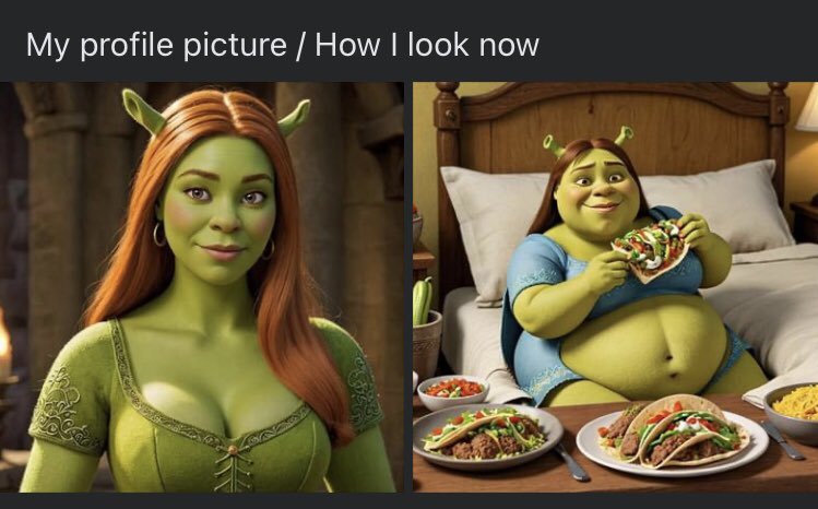 HeyPrinceShrek tweet media
