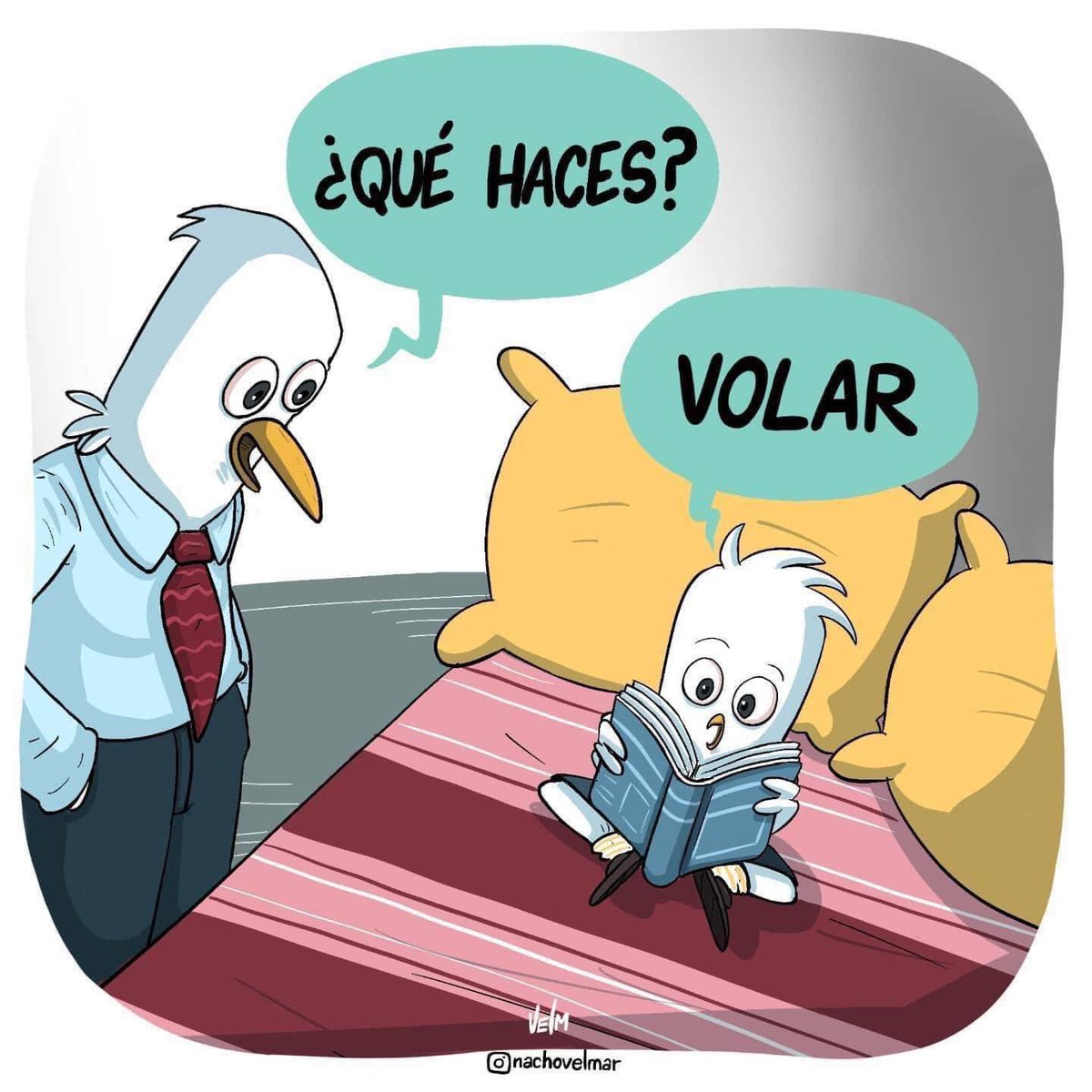 amorenloslibros's tweet photo. 📚📚📚 https://t.co/6oknsI0krC