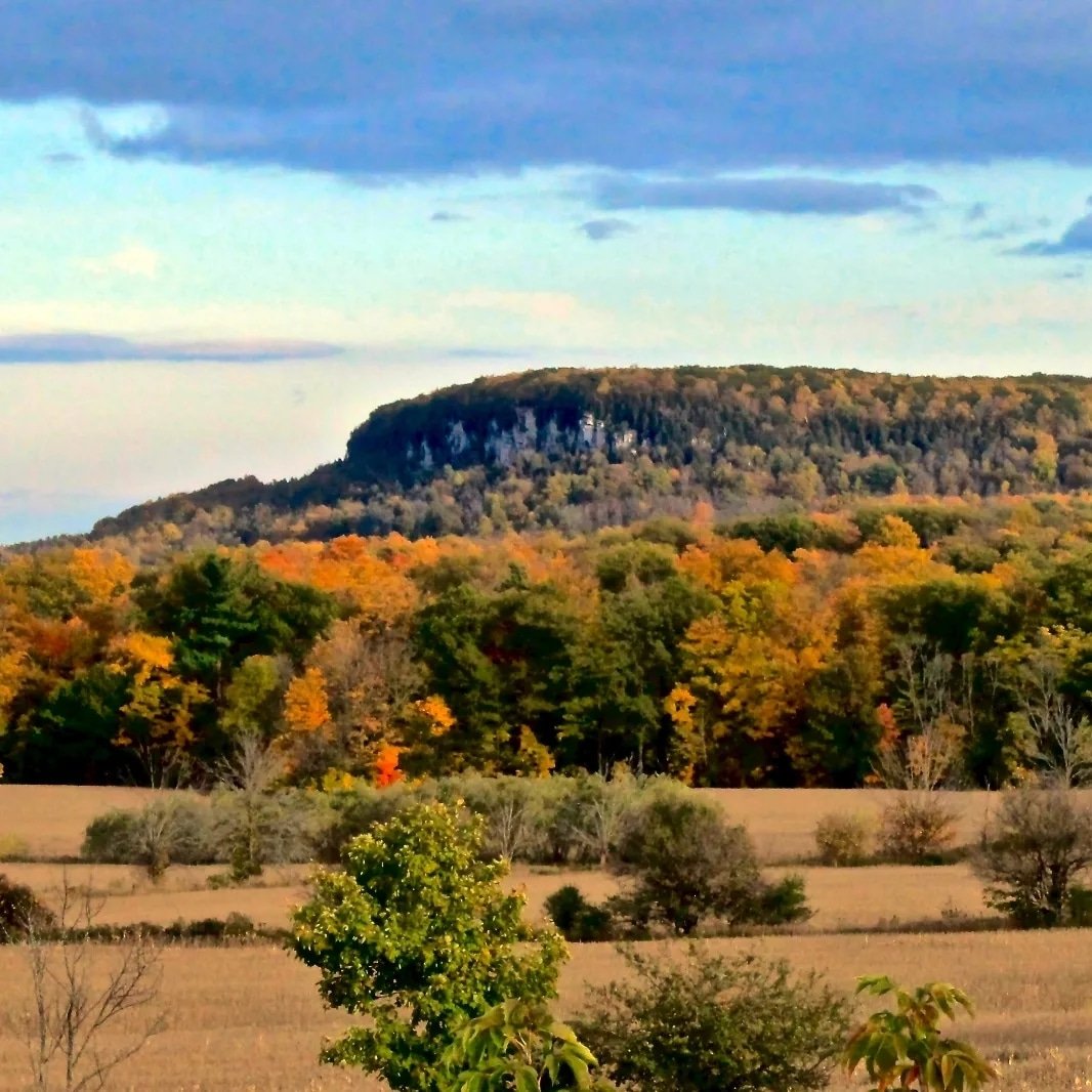 BriCampb's tweet photo. Mount Nemo in the fall #BurlON #landscapephotography #mountnemo https://t.co/UHrcSqaipF