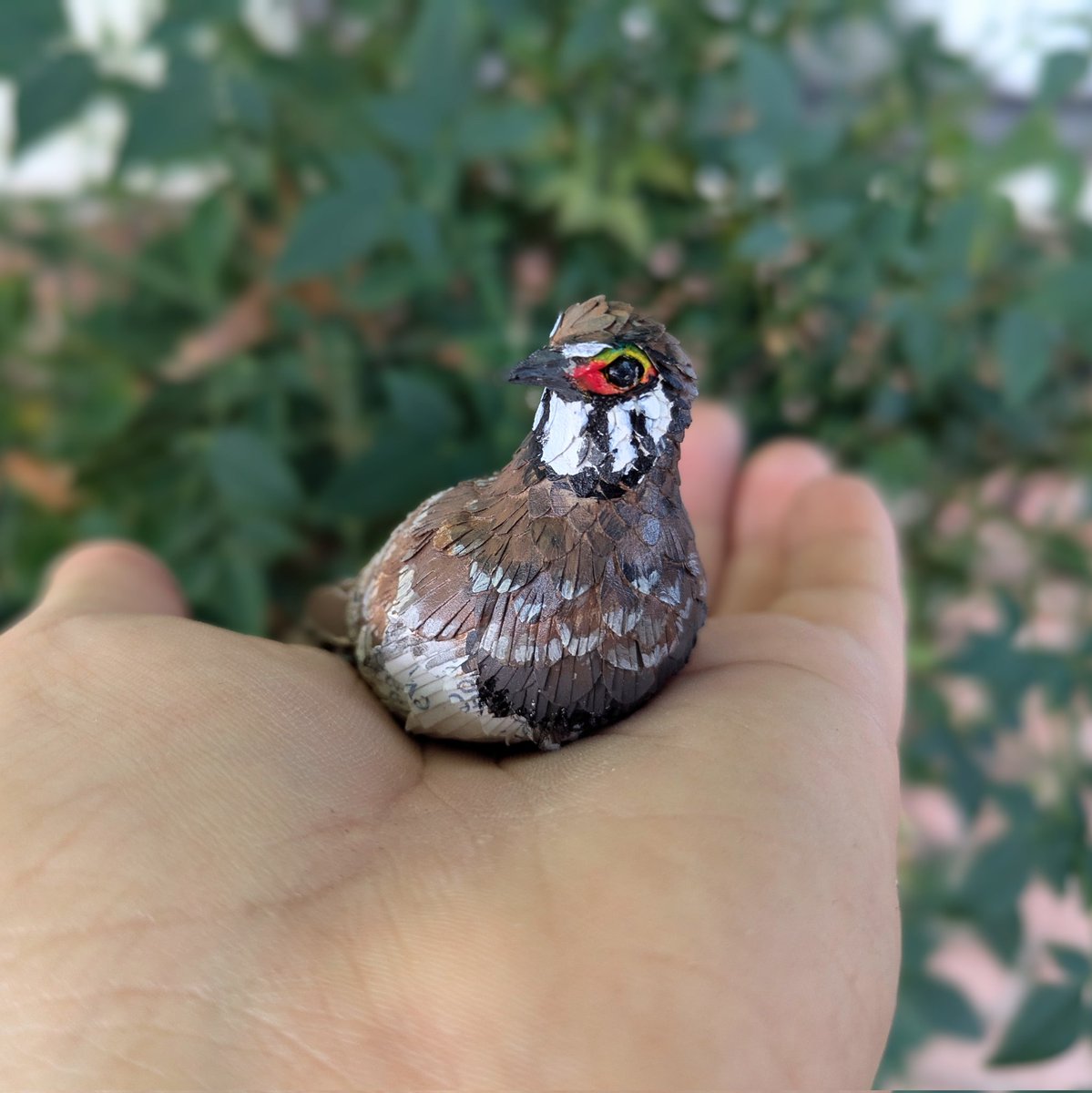 🍞🕊️

#AvianAugust2024