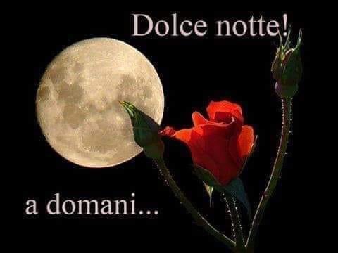 RITABIANCHi56 tweet media