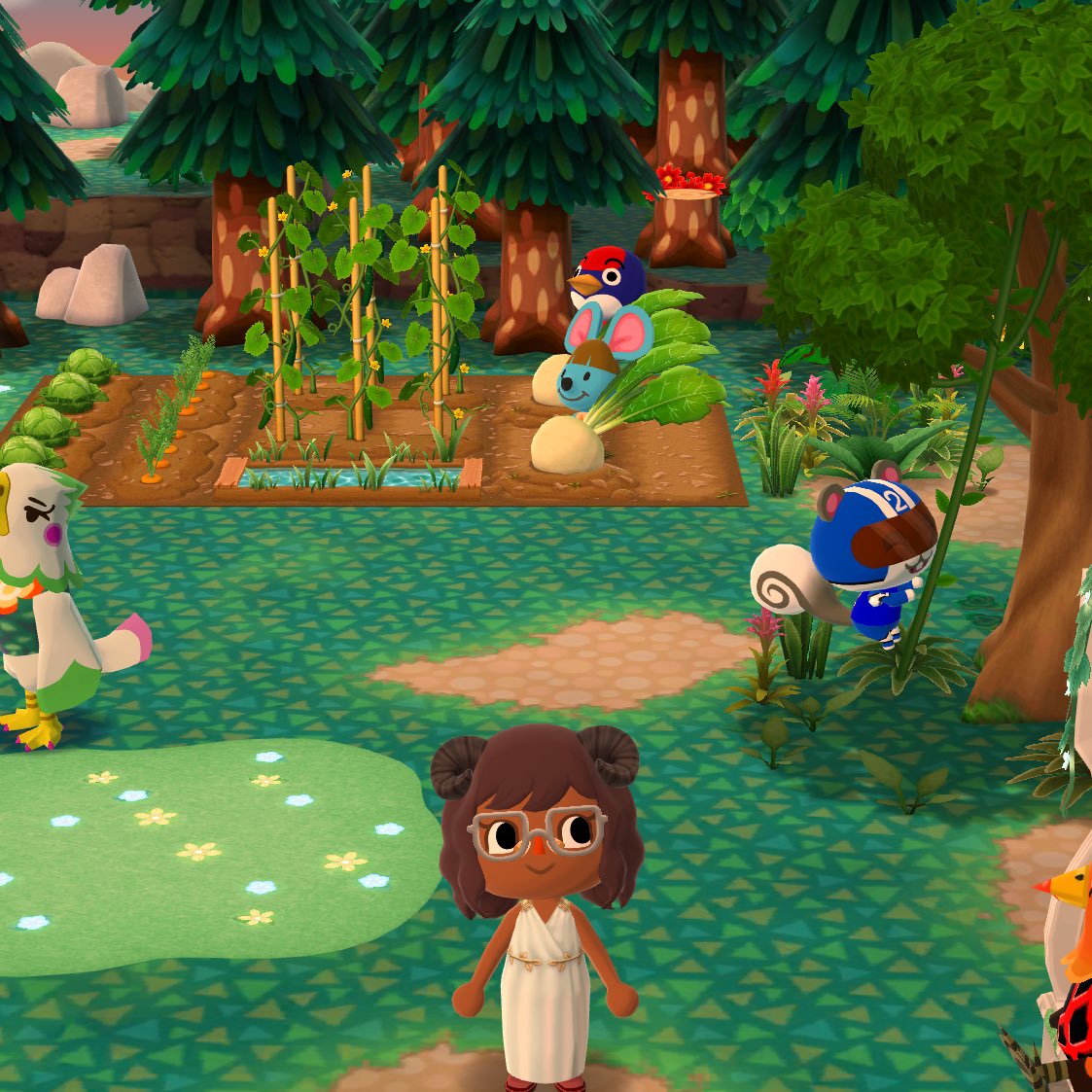 acpc_bot's tweet photo. coming back with a bang! happy summer everyone ☀️🌱 #AnimalCrossing #acpc #pocketcamp https://t.co/p7LBilofS5