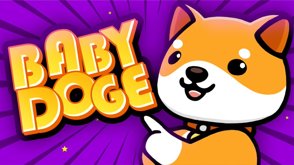 BabyDoge's tweet photo. 13 HOURS @BabyDogeKids 

WATCH: https://t.co/4HyaZjJxiK https://t.co/8IIGjsK4b6