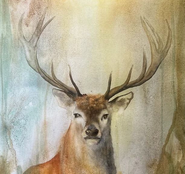 This proud stag is by Rachel Singleton, whose work will feature in a Cumbria-inspired art exhibition featuring local artists and schoolchildren at Main Street Studio (formerly the Beatrix Potter Gallery) in Hawkshead. This and more NW arts news at: bit.ly/storedhoney060…