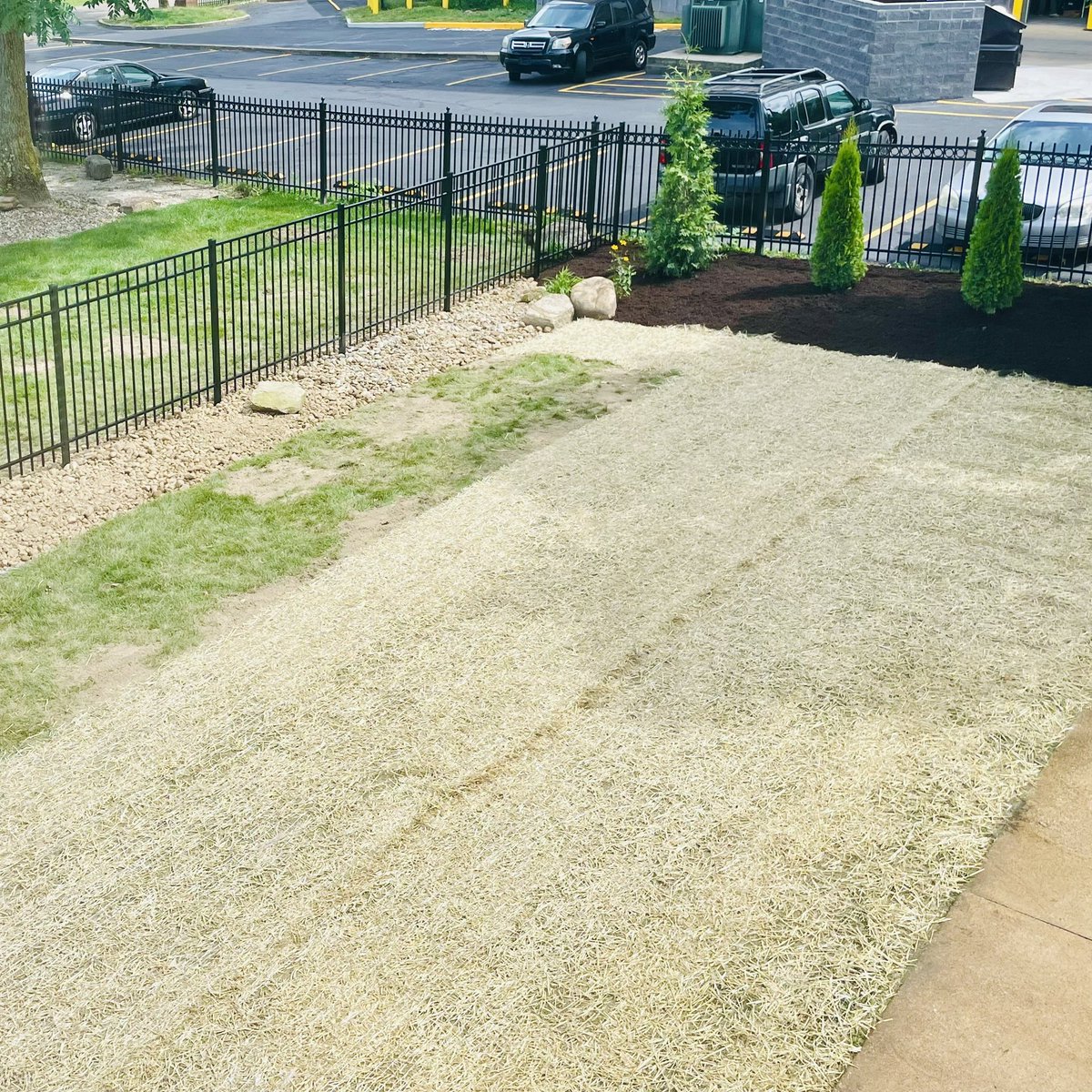 Landscaping to add more beauty and reduce foot traffic through our property. Can’t wait to see it finished!