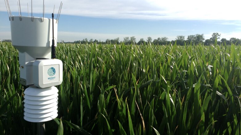 Permettre aux agriculteurs de réduire leur consommation d'eau de 50% ! 🌞💧 <a href="/weenat_com/">Weenat</a> 🇫🇷🫶🏻