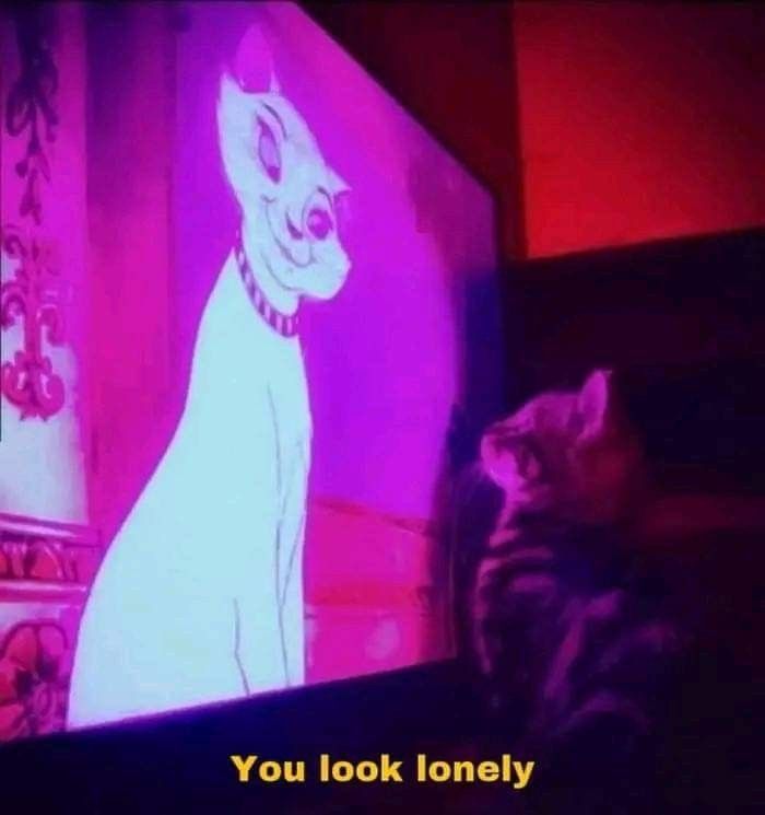 PostsOfCats's tweet photo. https://t.co/60MIxhtEtY
