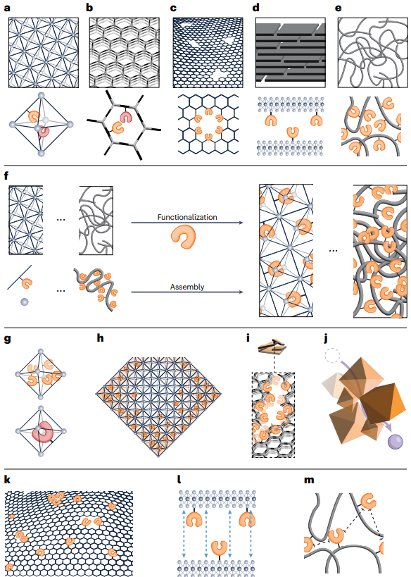 CamilleViolet1's tweet photo. @NatureWaterJnl (5/6) We outline synthetic methods to incorporate and pattern ion-specific binding sites into prevalent nanostructured materials such as COFs, MOFs, 2D materials, and polymers. https://t.co/VEXp34s0oC