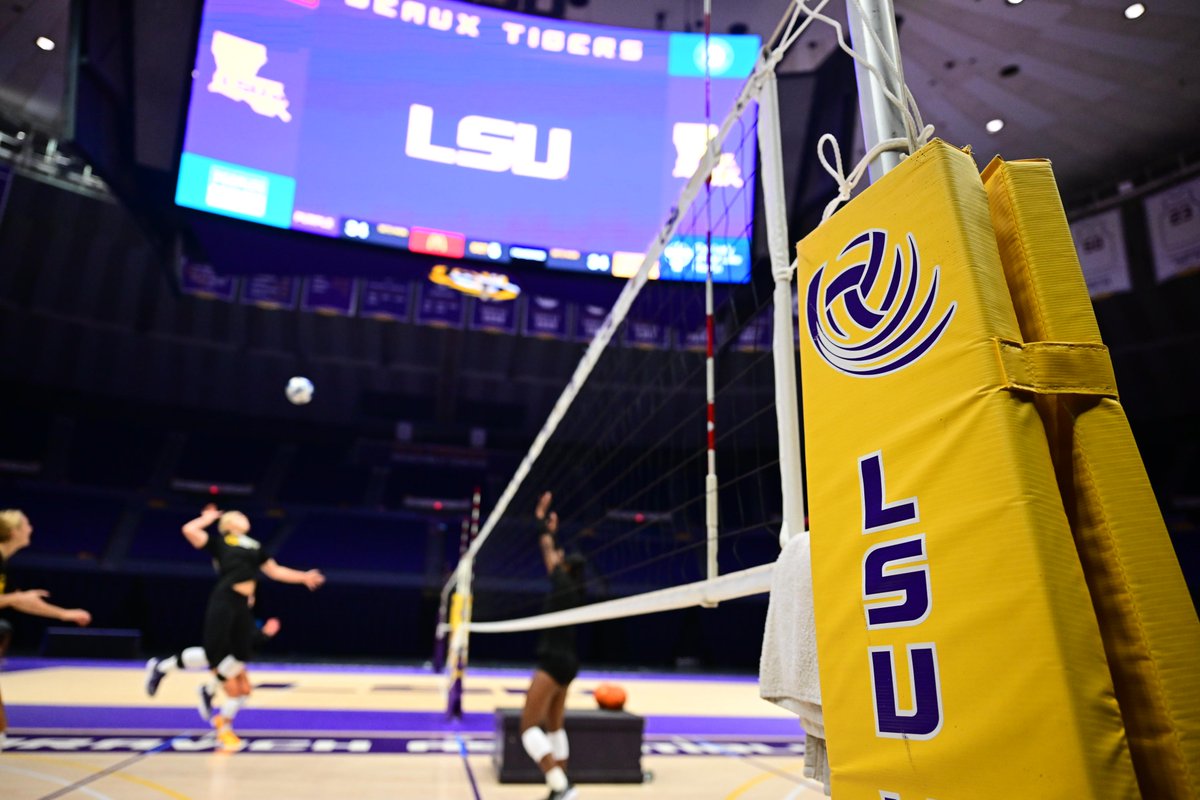 LSU Volleyball tweet media