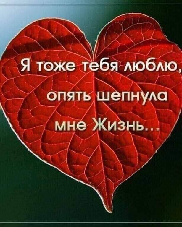 klimenko2012's tweet image. 