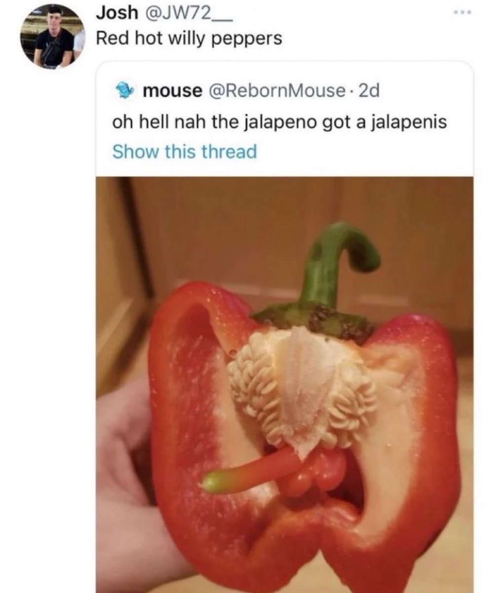 Out of Context Human Race (@nocontexthumans) on Twitter photo 