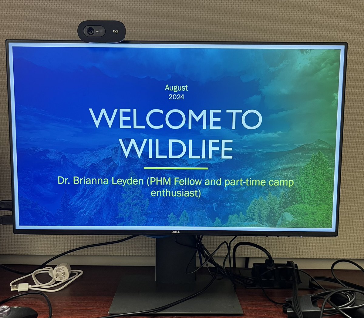 CHOC_PHMFellows's tweet photo. First fellow morning report of the year! Thanks to @briannaleyden who presented on a topic literally physically outside of the hospital: key wilderness medicine topics and her passion for volunteering as medical staff at summer camps, particularly @CampKesem / @CampKesemUCLA https://t.co/NBAR4MyFNd