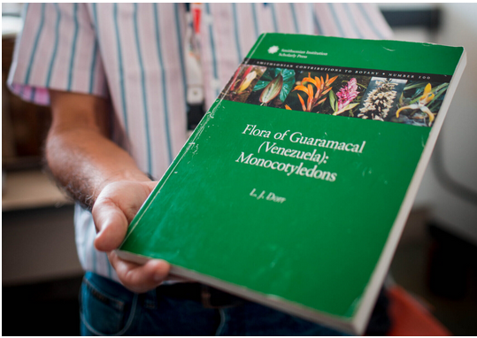 Infocentro San Silvestre tweet media