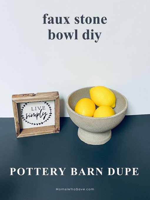 MomsWhoSave's tweet image. DIY Pottery Barn Dupe Faux Stone Bowl (Simple and Inexpensive to Make)

👉🏼 momswhosave.com/pottery-barn-d… 👈🏼

 #decor #PotteryBarn #DIY