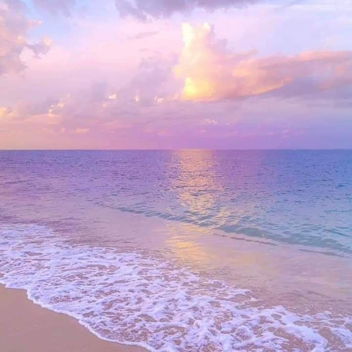 BichubeeLiz's tweet photo. Lilac 💜✨️ https://t.co/4FMk4oXJDr