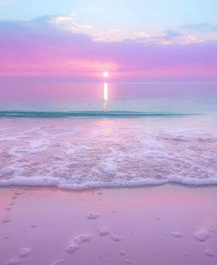 BichubeeLiz's tweet photo. Lilac 💜✨️ https://t.co/4FMk4oXJDr