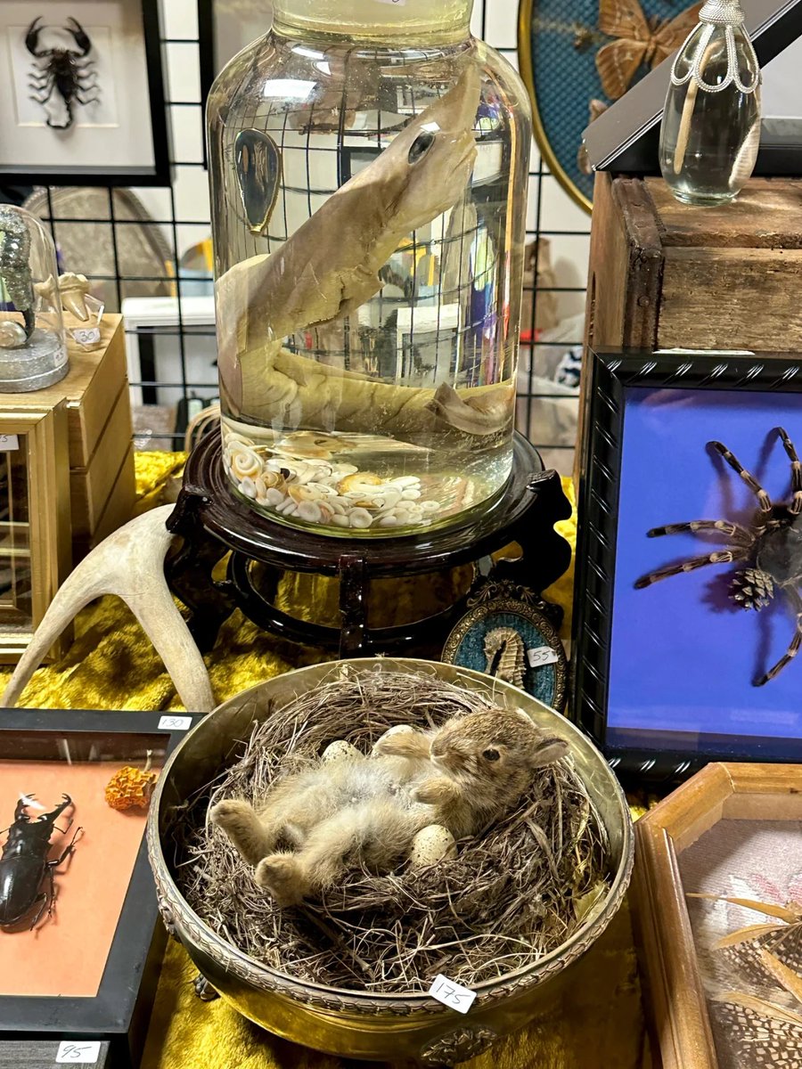 Marie34822989's tweet photo. Discovered a magical treasure market in Vancouver! https://t.co/bhN9p50wEn