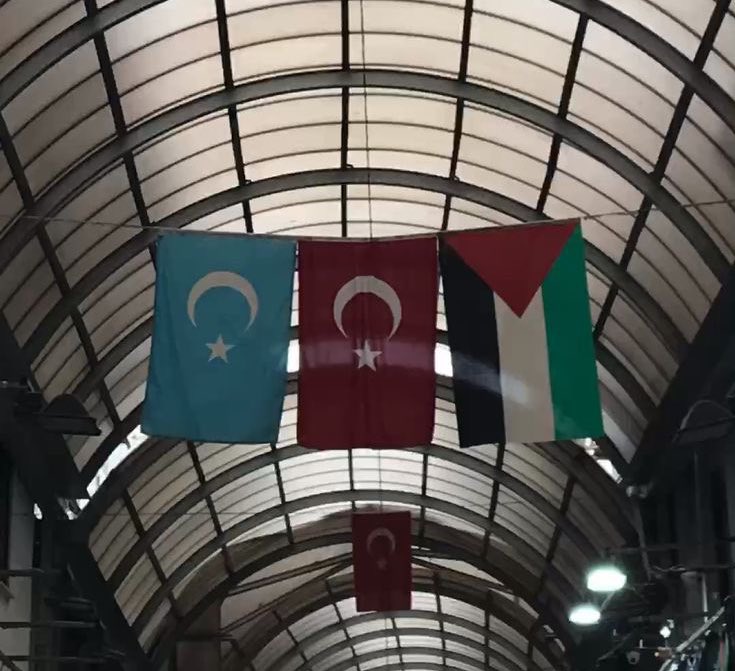 Doğu Türkistan’da bizim Filistinde
Çinide skeyim İsrailide