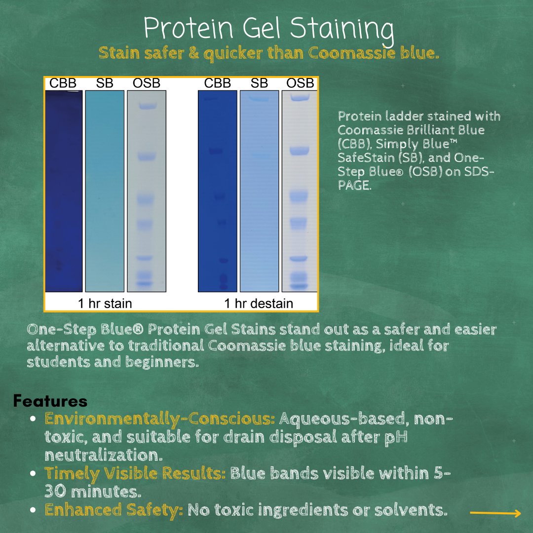 biotium's tweet image. It&apos;s almost back to school, is your lab ready? Promoting convenience in the classroom.

Stock up on our many products for education at: biotium.info/3YAcwv2

#backtoschool #collegescience #universitylab #collegelab #labtools #labequipment #labhelp #pcr #gelstain #dna