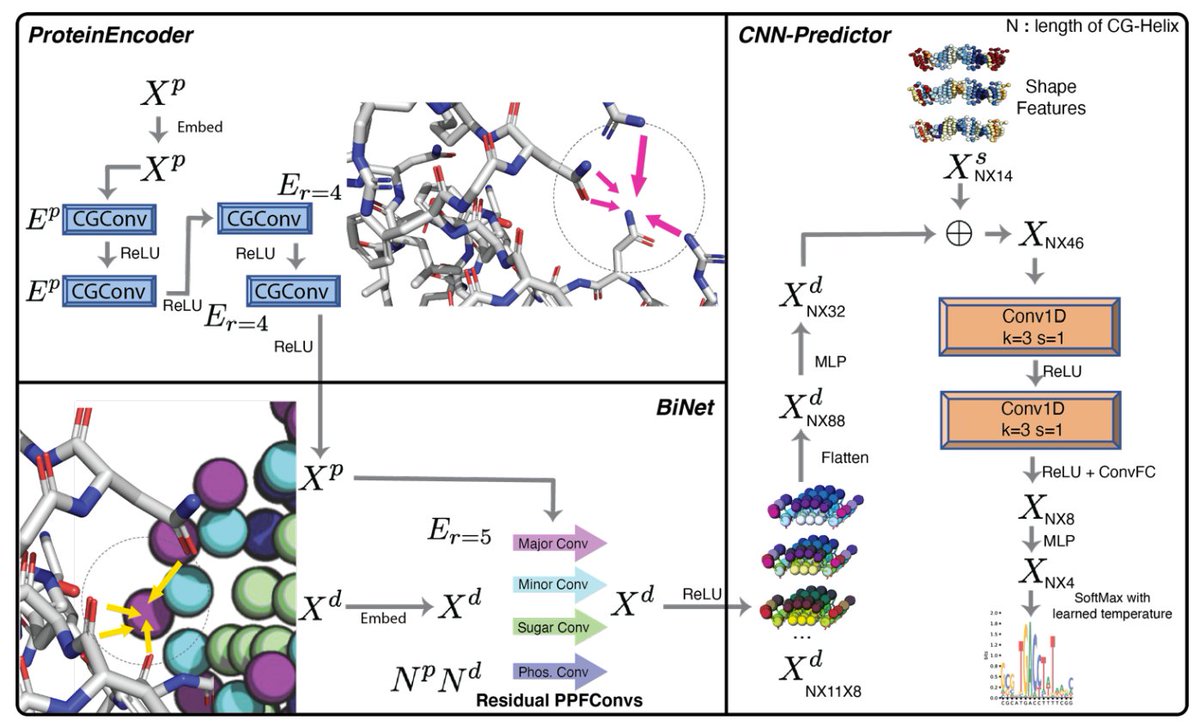 Leo Zang tweet media