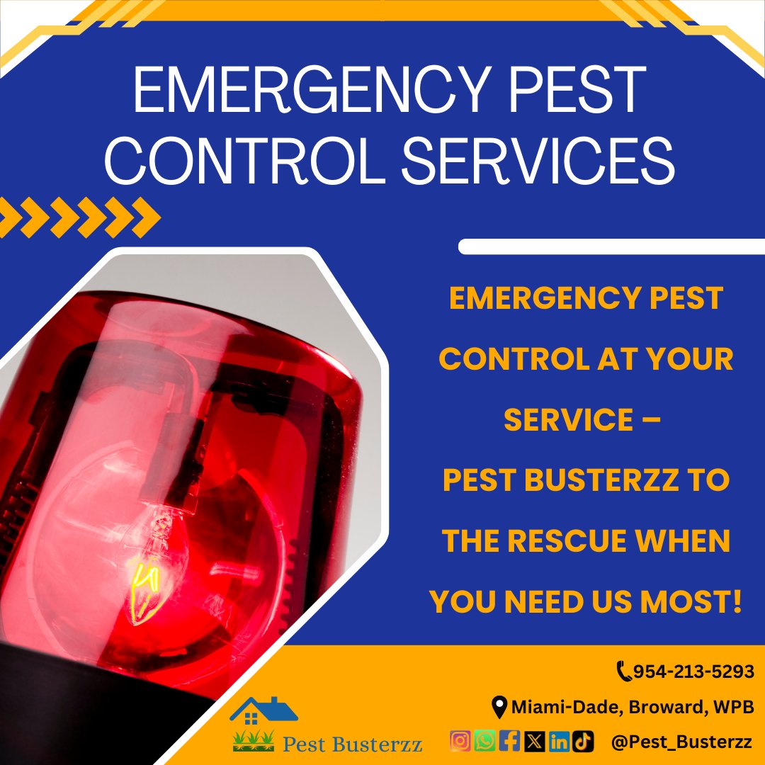 pest_busterzz's tweet image. Got a pest emergency? 🚨🐜 Don’t panic—Pest Busterzz is here to help with fast, reliable solutions. Reach out anytime, and we&apos;ll take care of the rest! 🌟🏡#EmergencyPestControl #PestBusterzz #HereToHelp #pests #rodentcontrol pestbusterzz.com