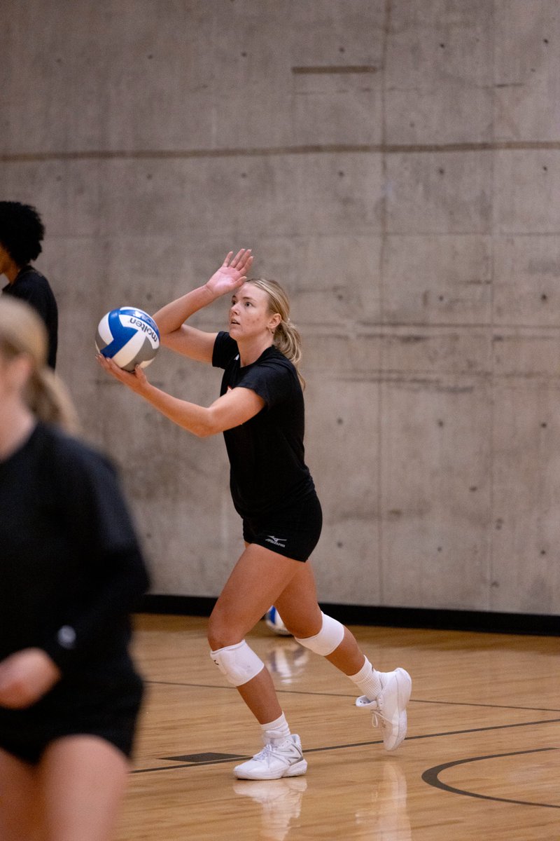 DU_Volleyball's tweet photo. Ladies and gentlemen, we are SO back

#GoPios https://t.co/3HsCNmnc4C