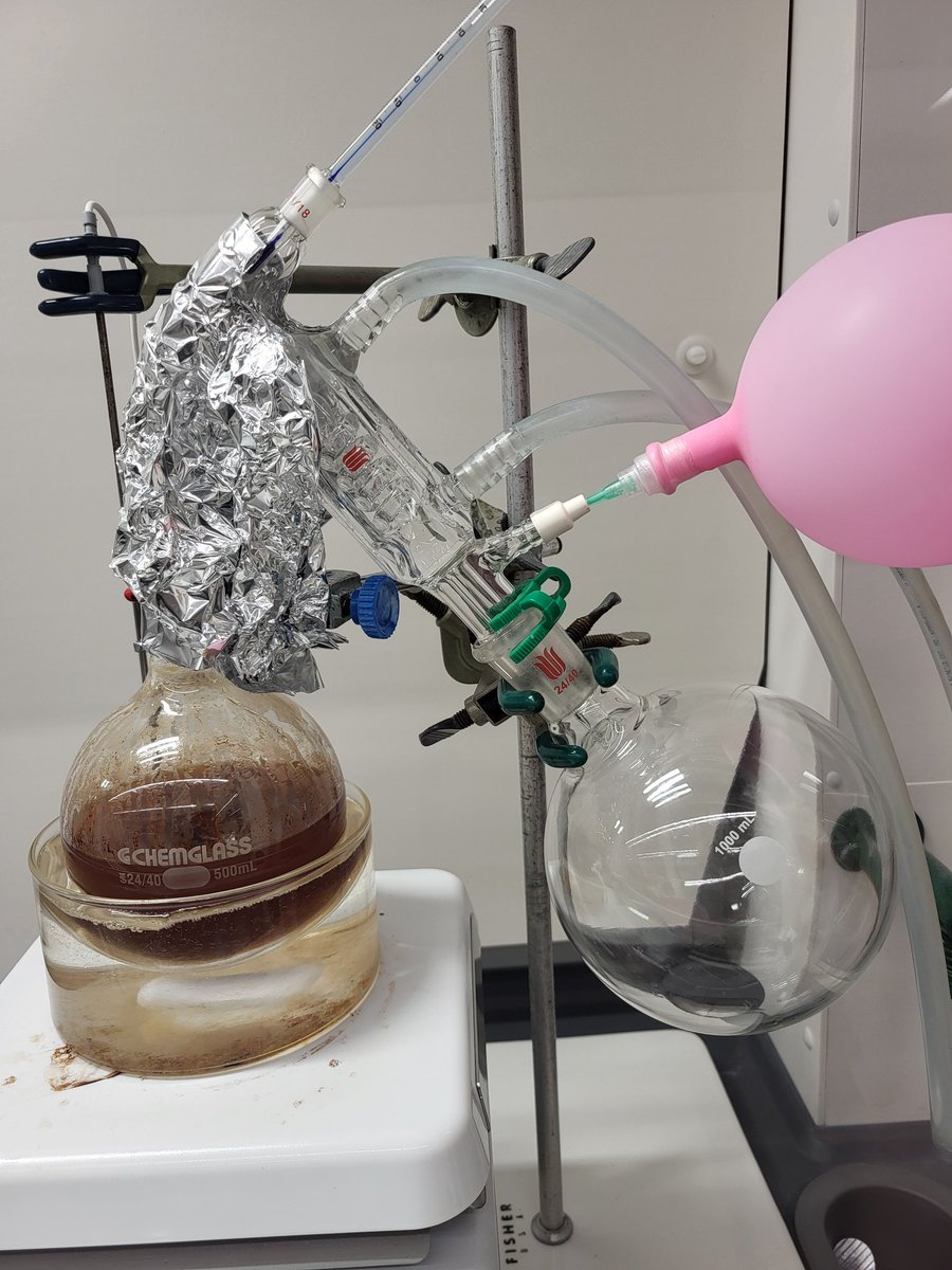 geordifrere's tweet image. Inert steam distillation! (Hopefully my last)