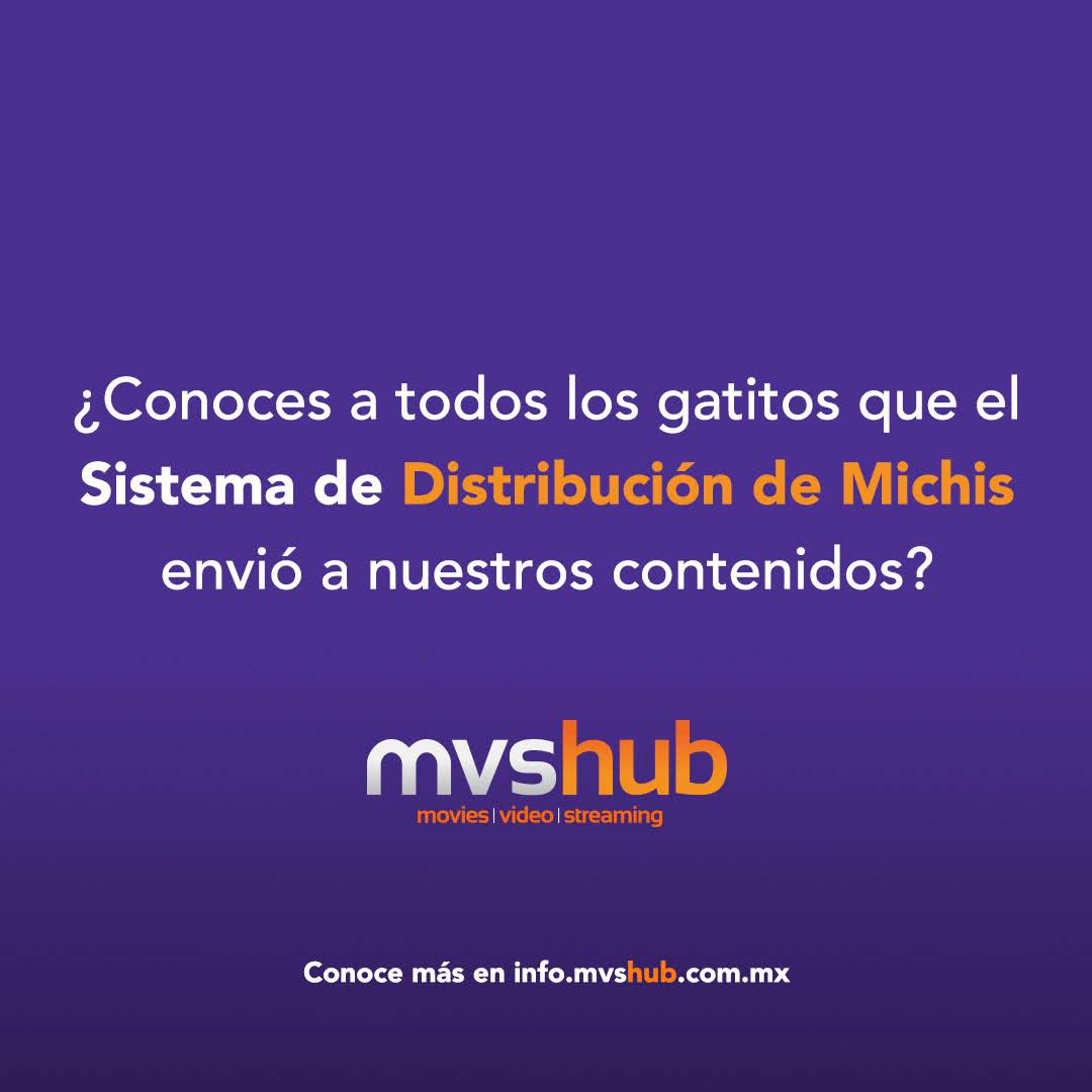mvshub's tweet photo. El Sistema de Distribución de Michis, llegó hasta mvshub y llenó de gatitos a nuestros contenidos. Disfrútalos todos en una misma plataforma, con una sola cuenta y contraseña. 

 #SíATodo #DiaInternacionalDelGato https://t.co/0evuHUPNYo