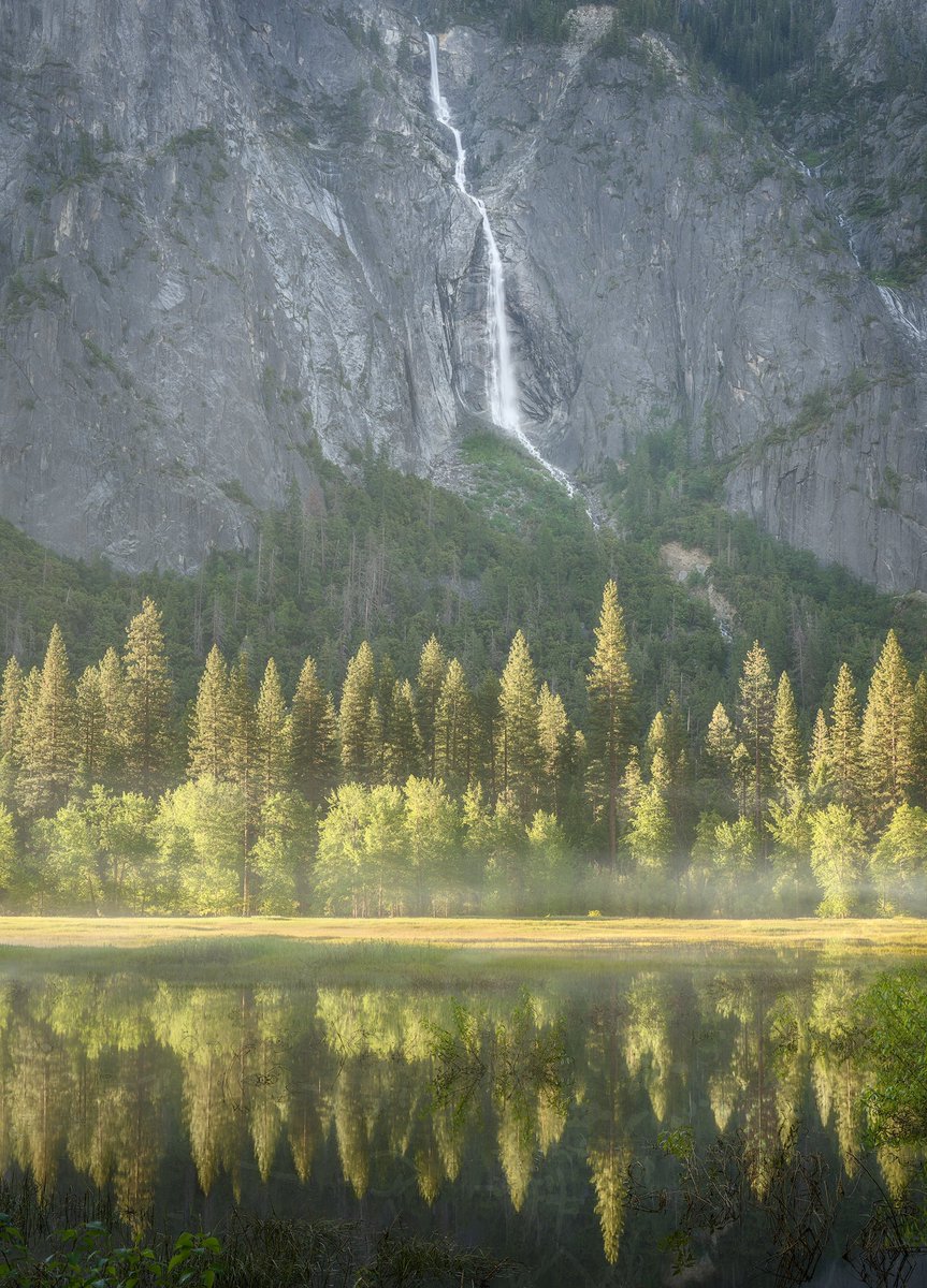 The Ansel Adams Gallery tweet media