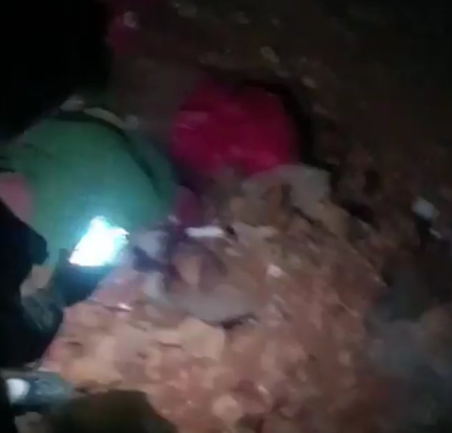 Hani 30 gün sahiplenme için beklenecekti?Hani 2028 e kadar barınaklar iyileştirilecekti?
Yasa uygulanmıyor! 
Gözümüzün önünde katliam.
Çıglıklar ve Koku yayınlayamıyor
#AltındağdaKatliamVar
#türkiyedekatliamvar
#ToplamaYerindeYaşat #YasayıGeriÇekKatliyamaHayır
#YasaDeğilCinayet