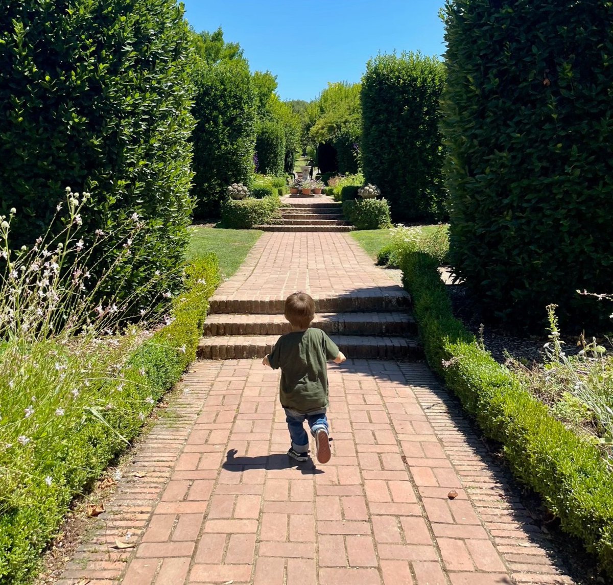 Are you ready to run and play? On your next visit to Filoli, romp among the summer blooms like the dahlias and hydrangeas or race through the Walled Garden!

Plan your next day-cation and visit filoli.org/visit