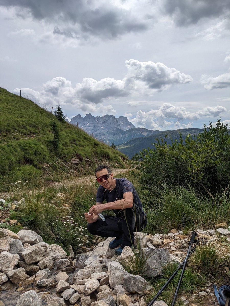 Stefano Basso tweet media