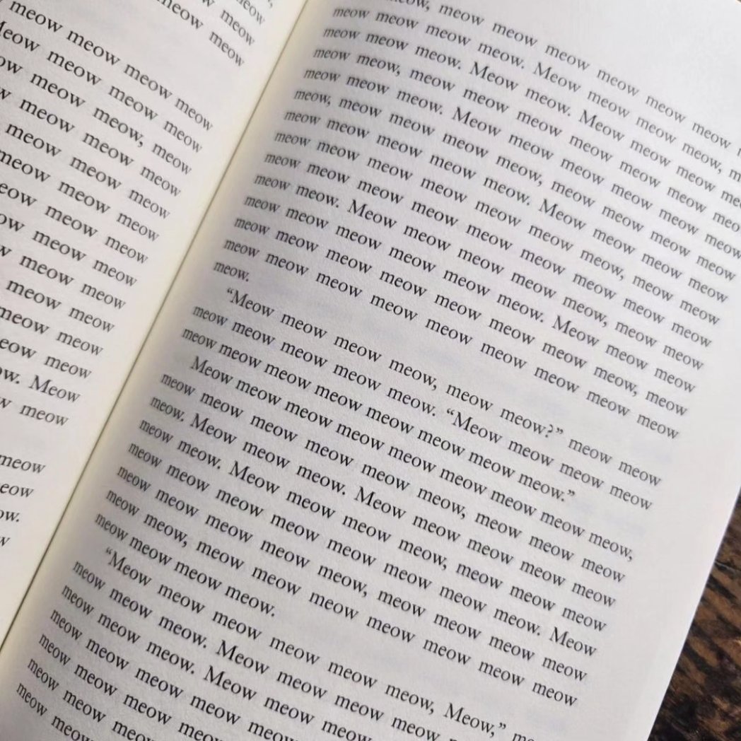 boozewithmews's tweet photo. For #InternationalCatDay🐱, Cleo from El Batey bar, Puerto Rico wanted to share a poignant and inspiring excerpt from her favourite book. You've truly touched our heart with your chosen words, Cleo.🐱📖
#CatsOfX #pubcats https://t.co/hmgUatshzK