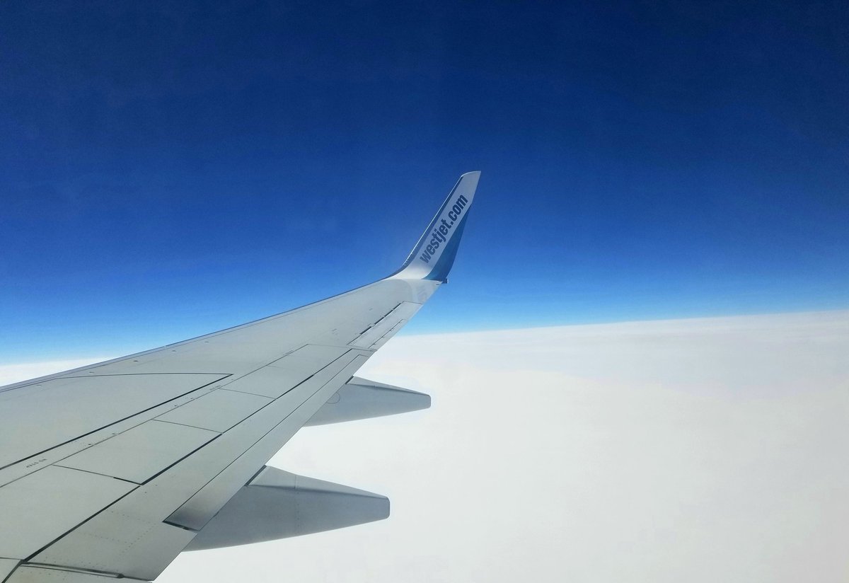 Blue and White.
