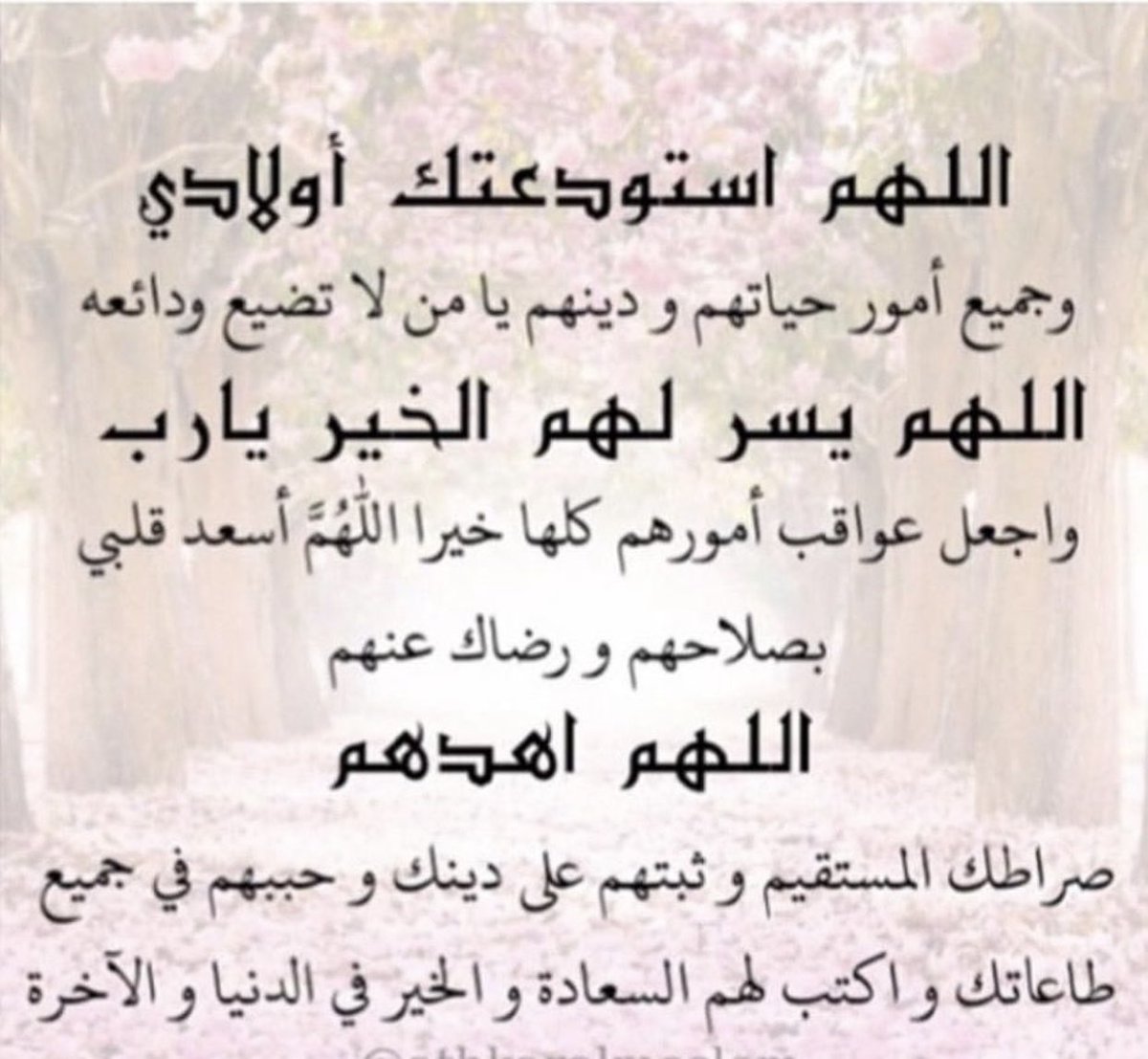 dsschf's tweet photo. https://t.co/x4CFyL6Mlc