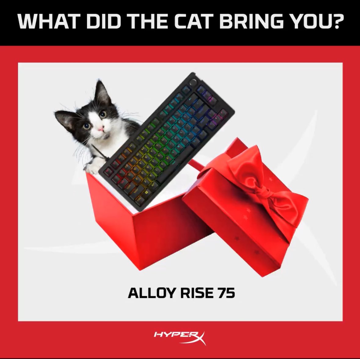 Gray🧡 tweet media