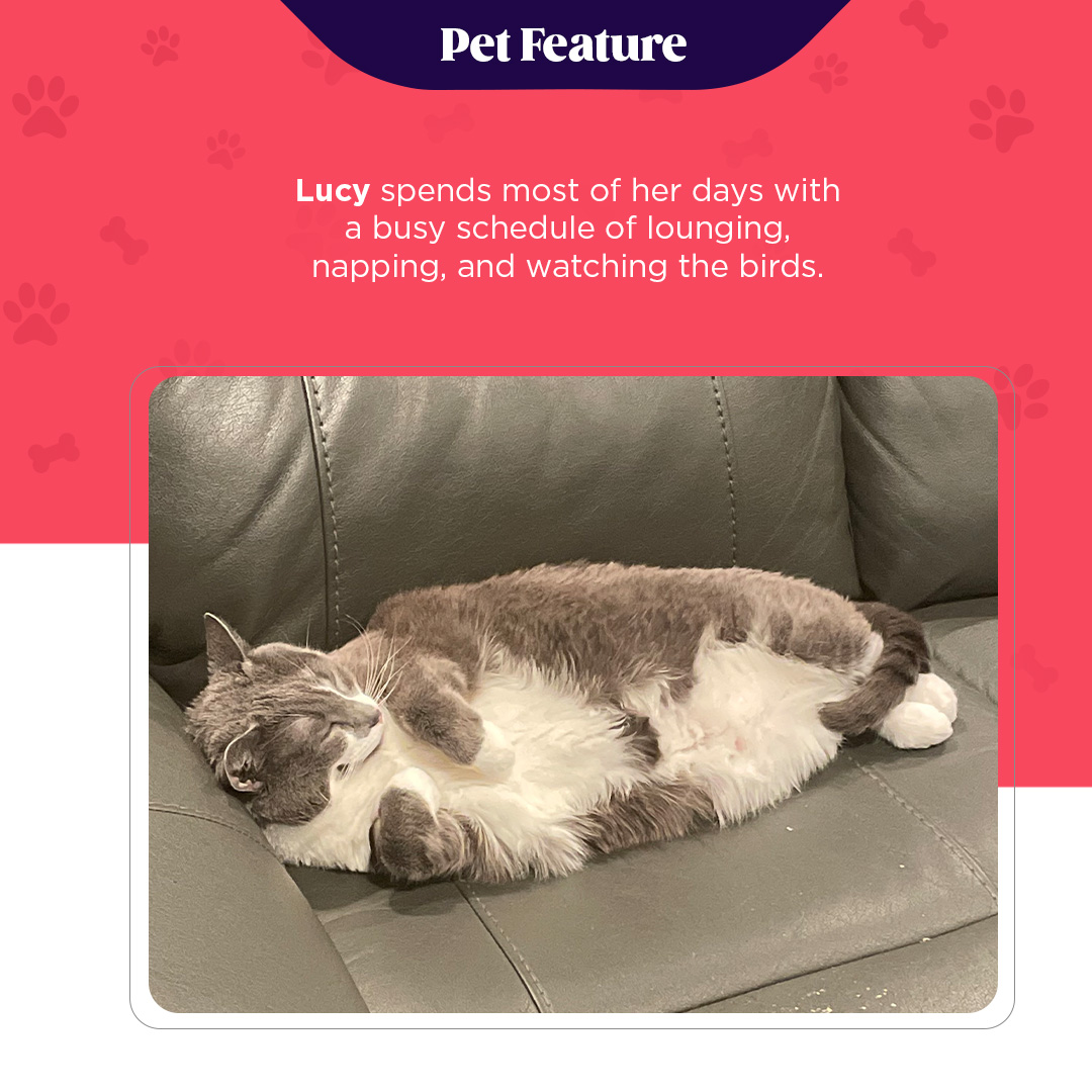 Marshal Yard tweet media