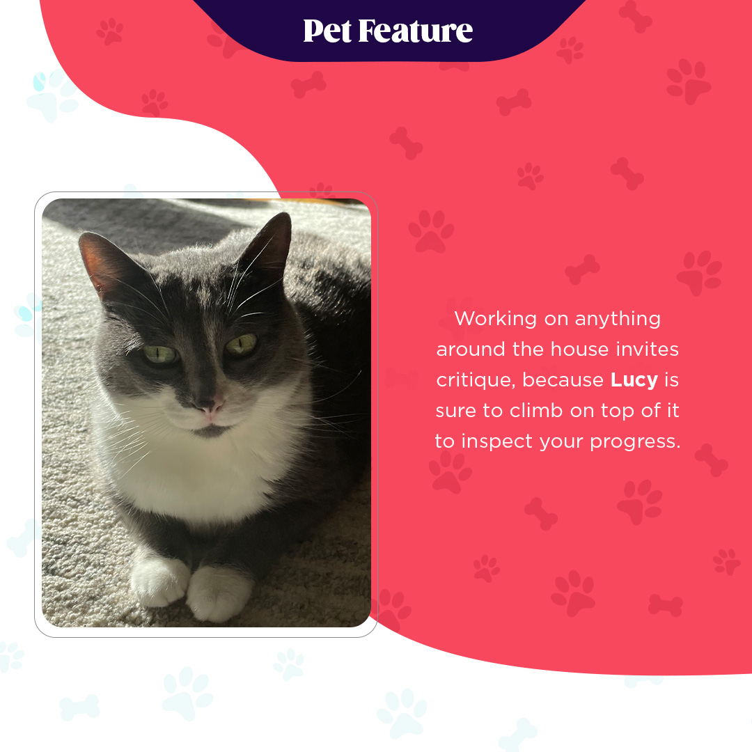 Marshal Yard tweet media